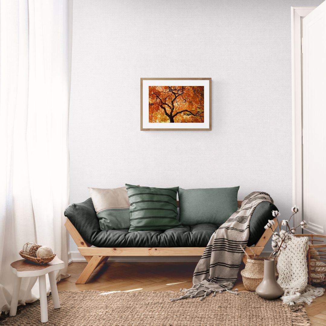 ANDRE BARANOWSKI: Garden Wild X (limited edition print)