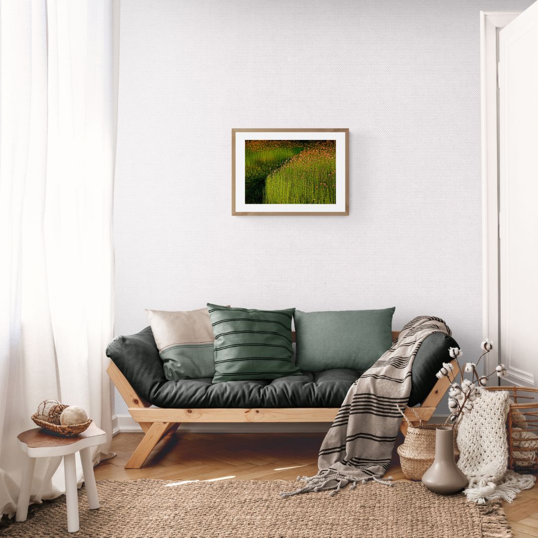 ANDRE BARANOWSKI: Garden Wild XI (limited edition print)