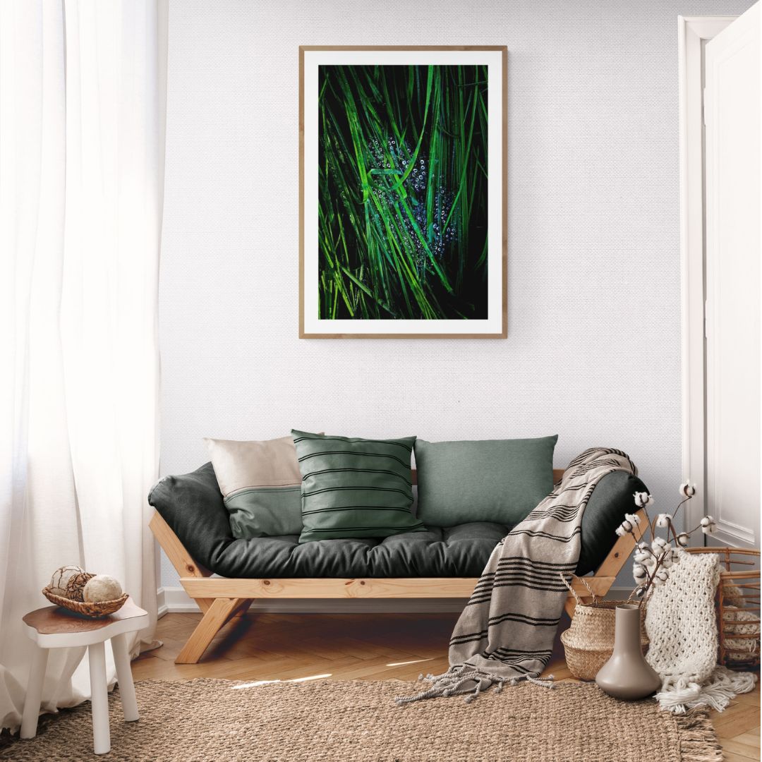 ANDRE BARANOWSKI: Garden Wild XII (limited edition print)