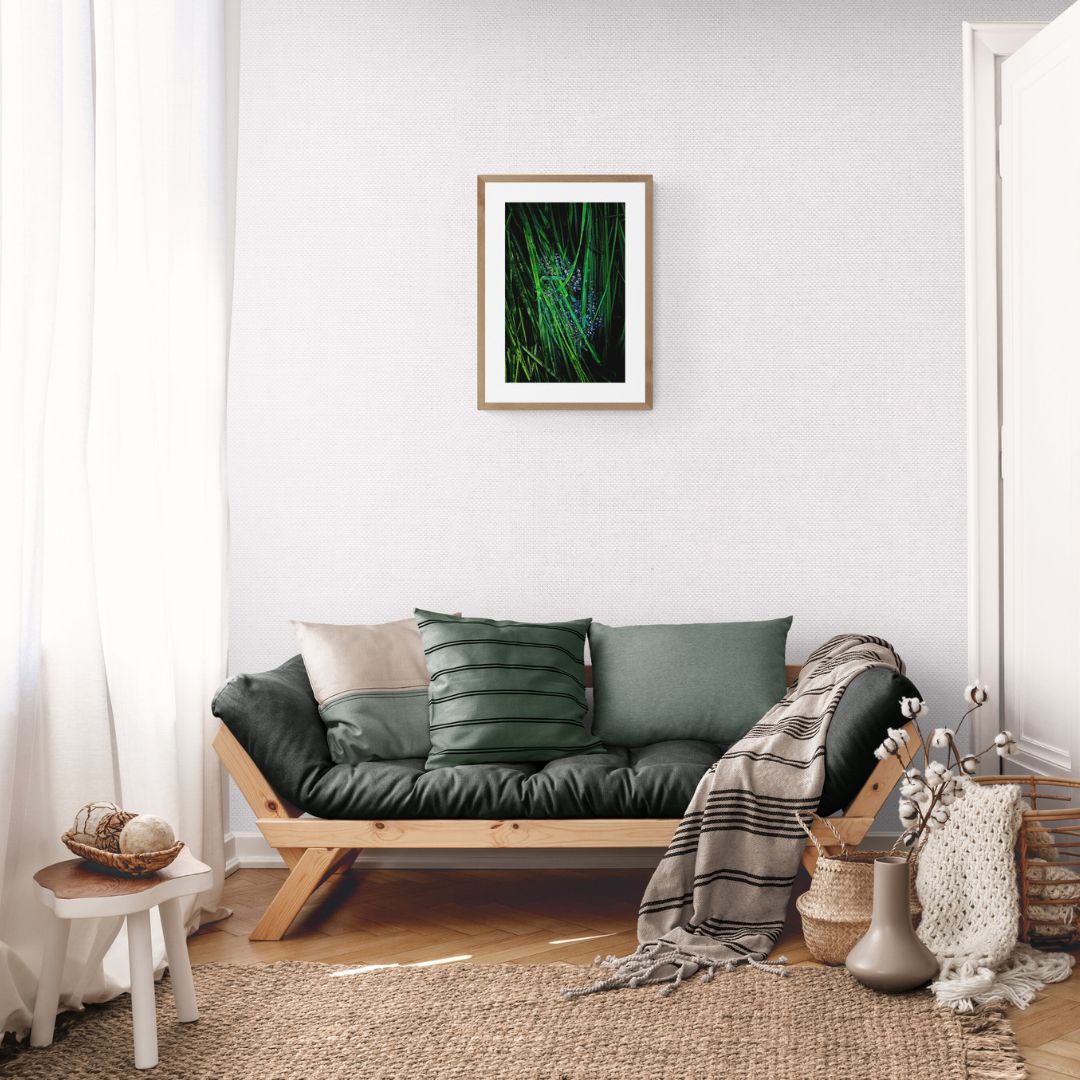 ANDRE BARANOWSKI: Garden Wild XII (limited edition print)