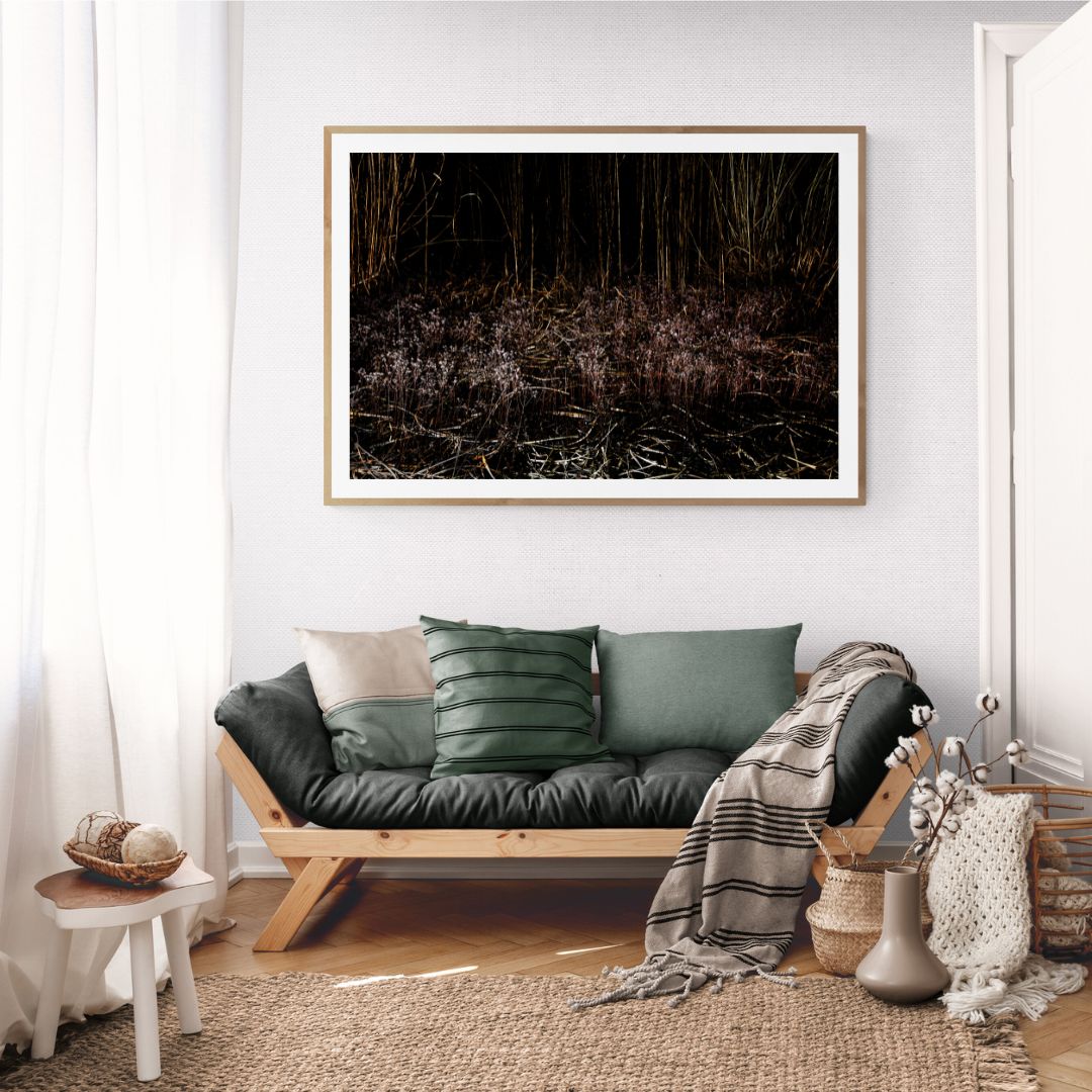 ANDRE BARANOWSKI: Garden Wild XIV (limited edition print)