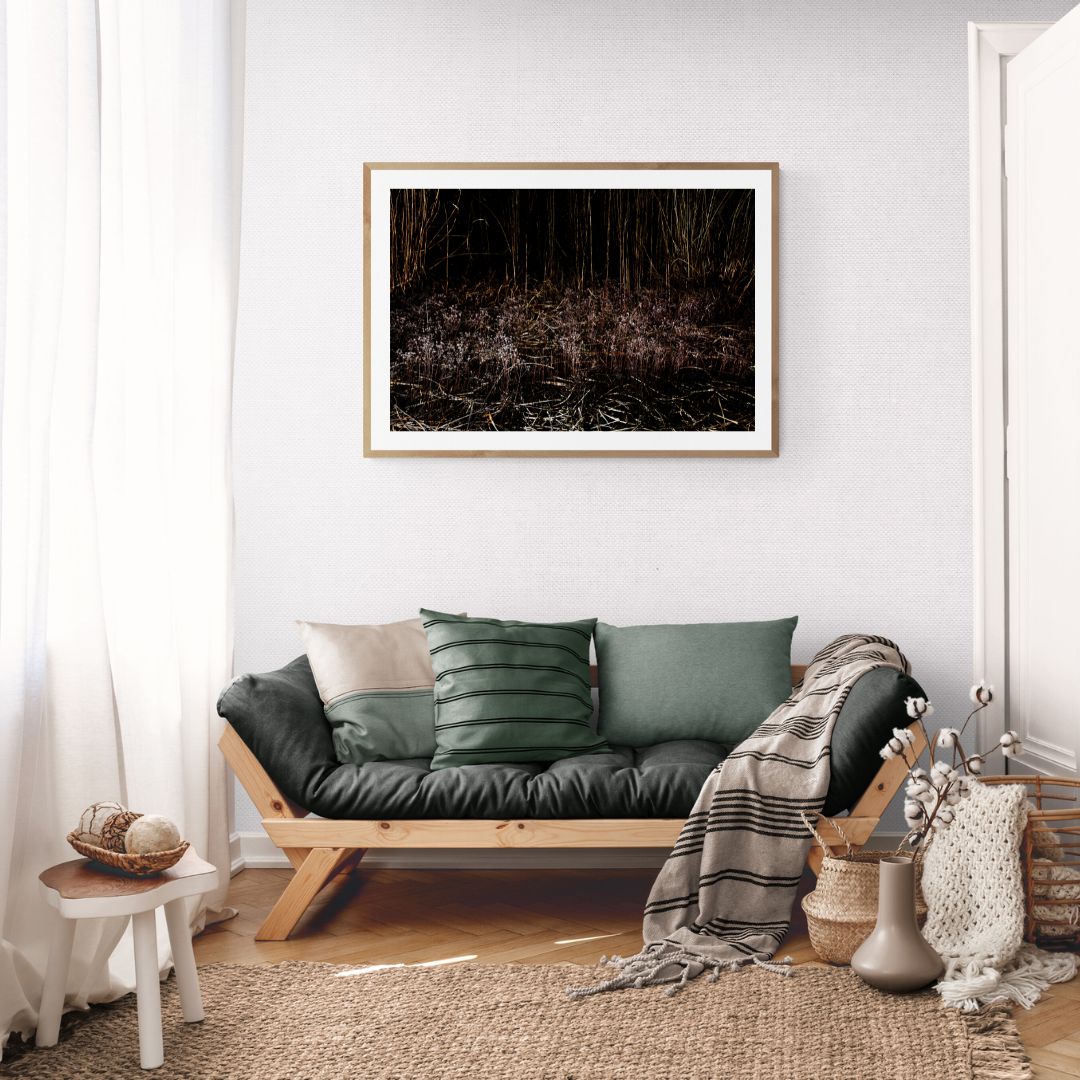 ANDRE BARANOWSKI: Garden Wild XIV (limited edition print)