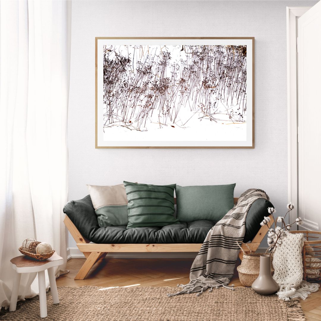 ANDRE BARANOWSKI: Garden Wild XV (limited edition print)
