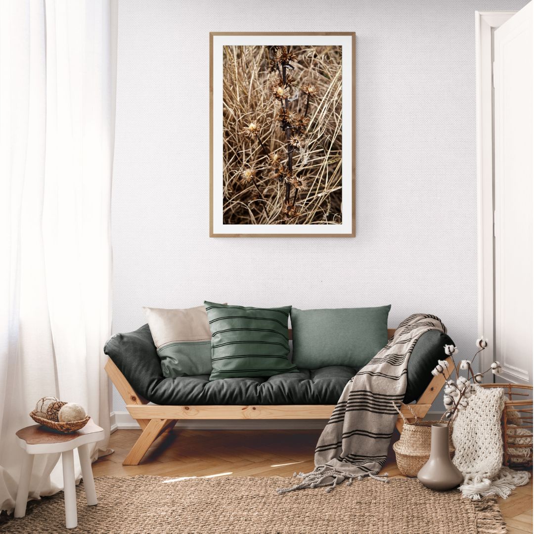 ANDRE BARANOWSKI: Garden Wild XVI (limited edition print)