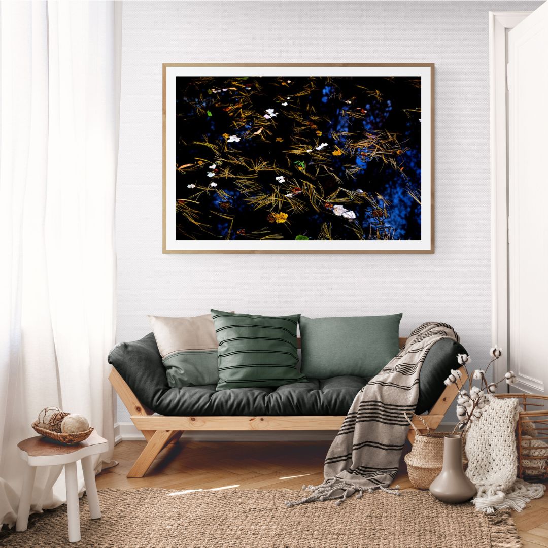 ANDRE BARANOWSKI: Garden Wild V (limited edition print)