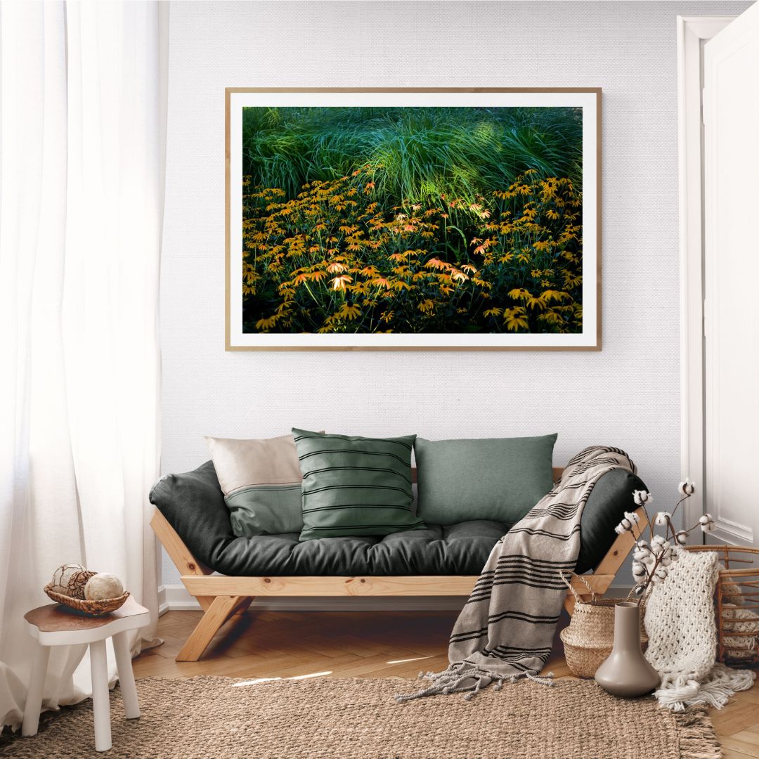 ANDRE BARANOWSKI: Garden Wild VI (limited edition print)