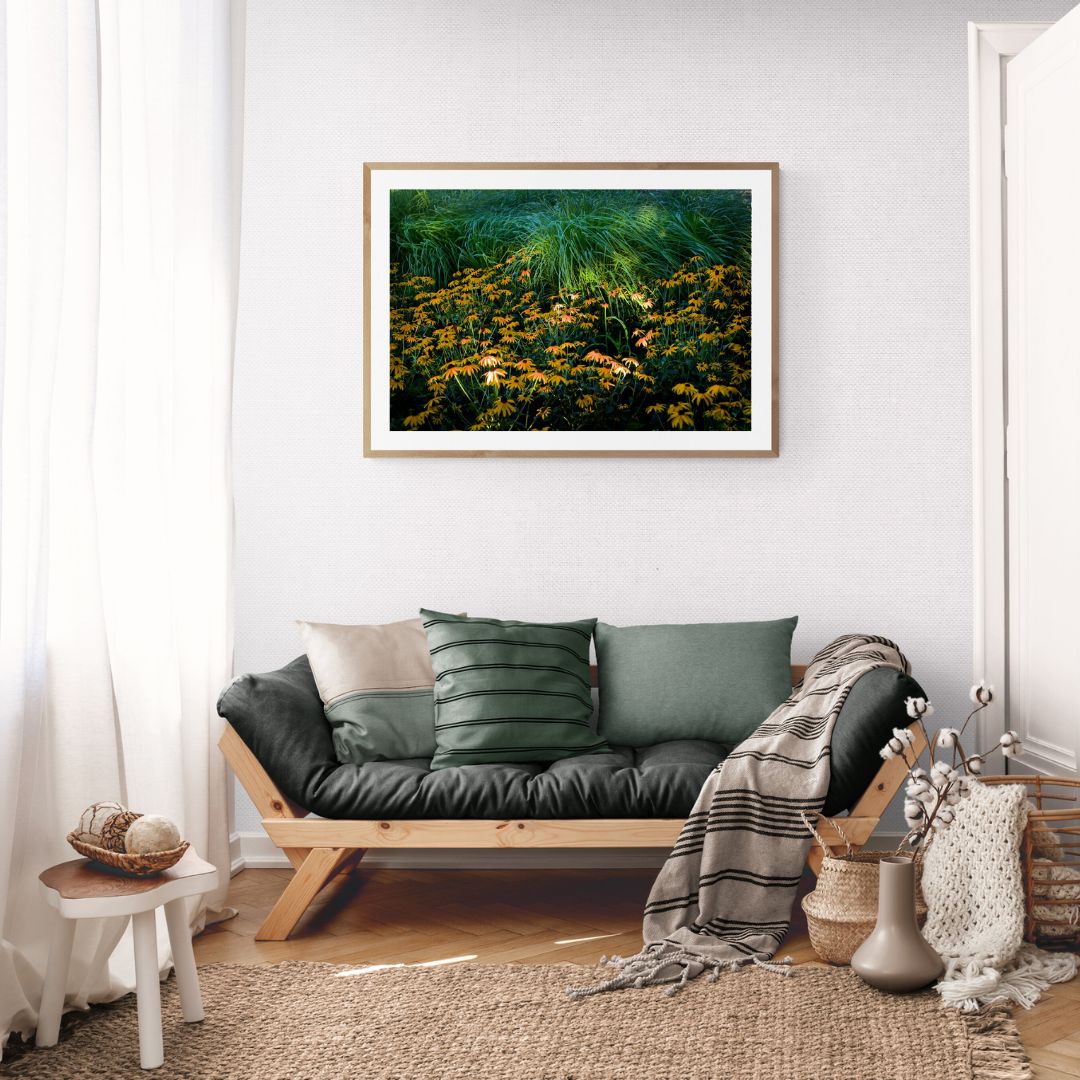 ANDRE BARANOWSKI: Garden Wild VI (limited edition print)