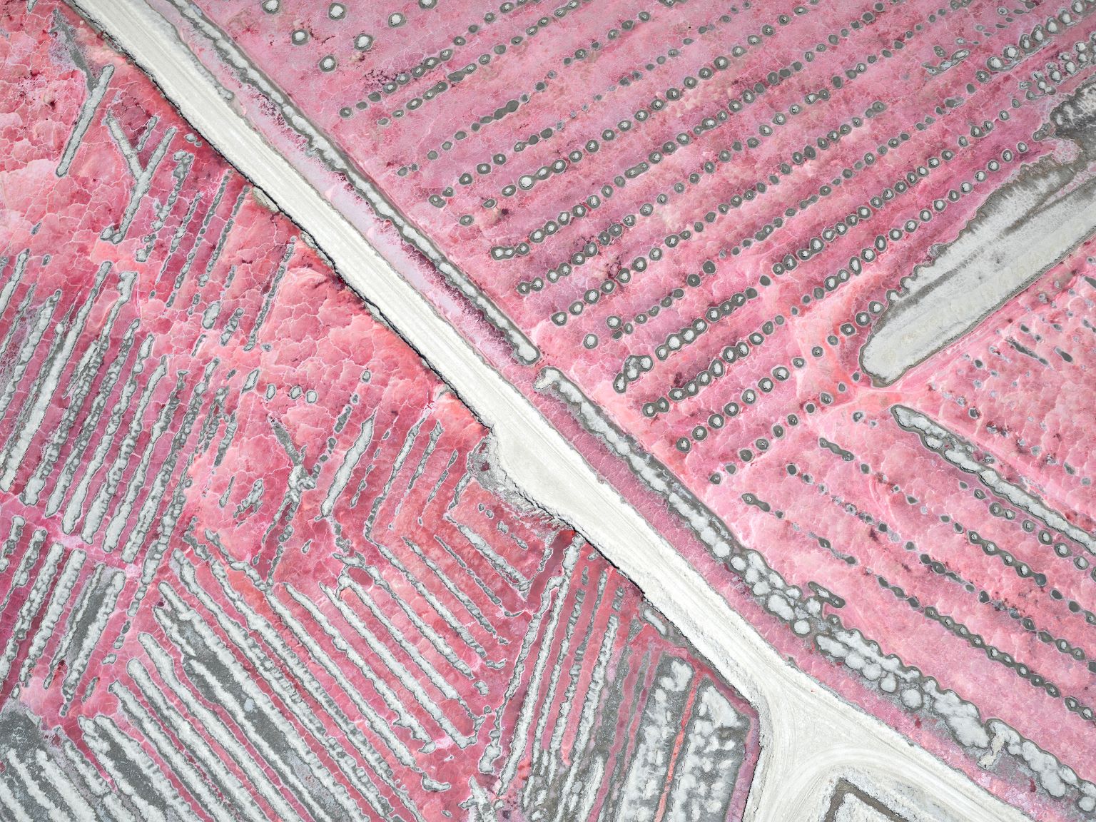ANDREI DUMAN: Pink Dots I (limited edition print)
