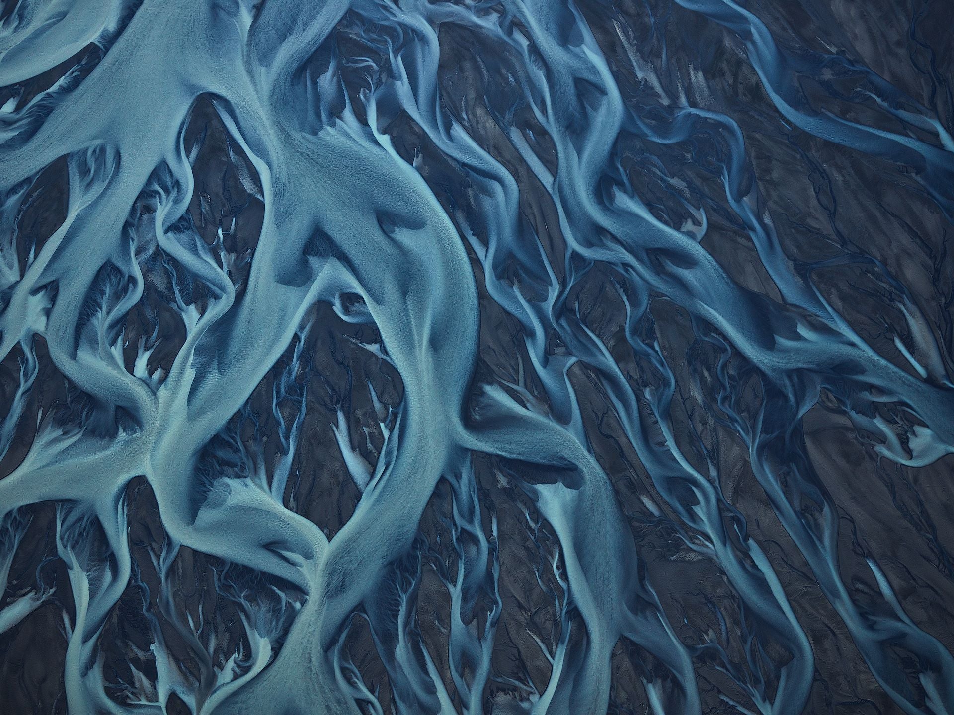 ANDREI DUMAN: River Fingers I (limited edition print)