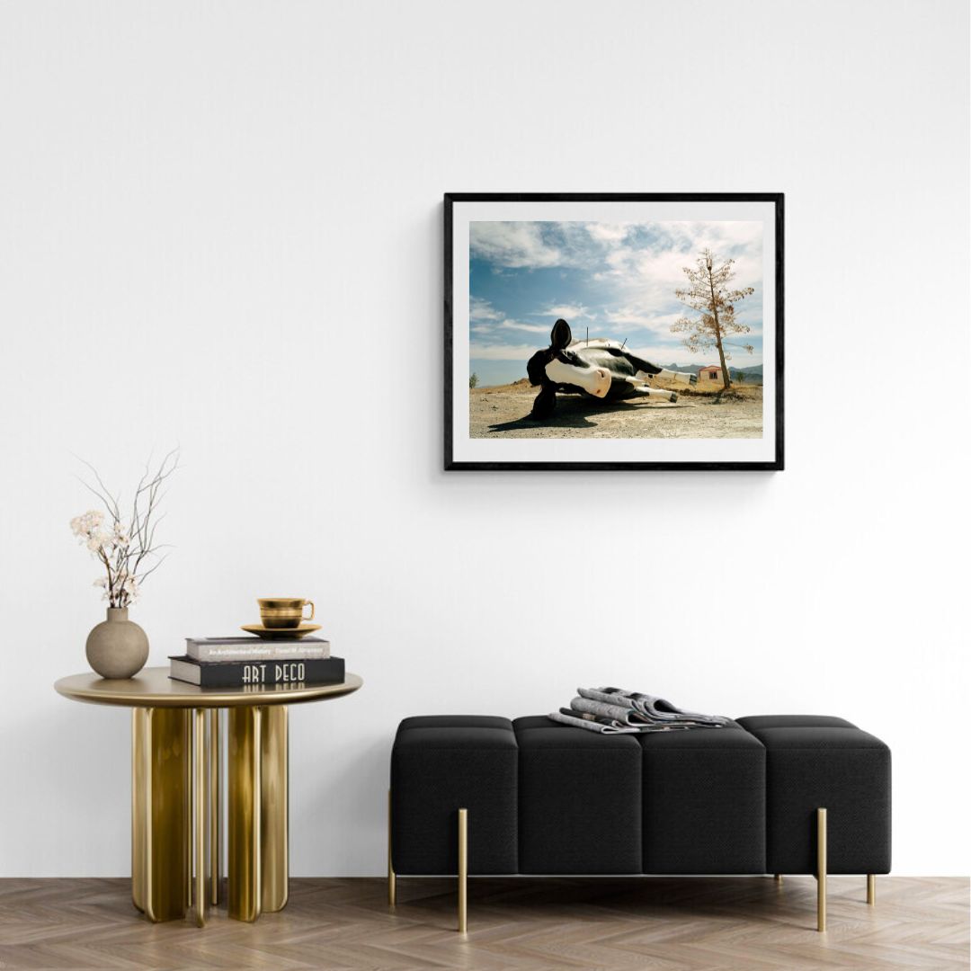 JIMMY & DENA KATZ: Cow by the side of the road (fine art print)