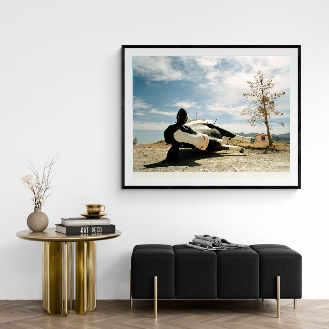JIMMY KATZ: Cow by the side of the road (fine art print