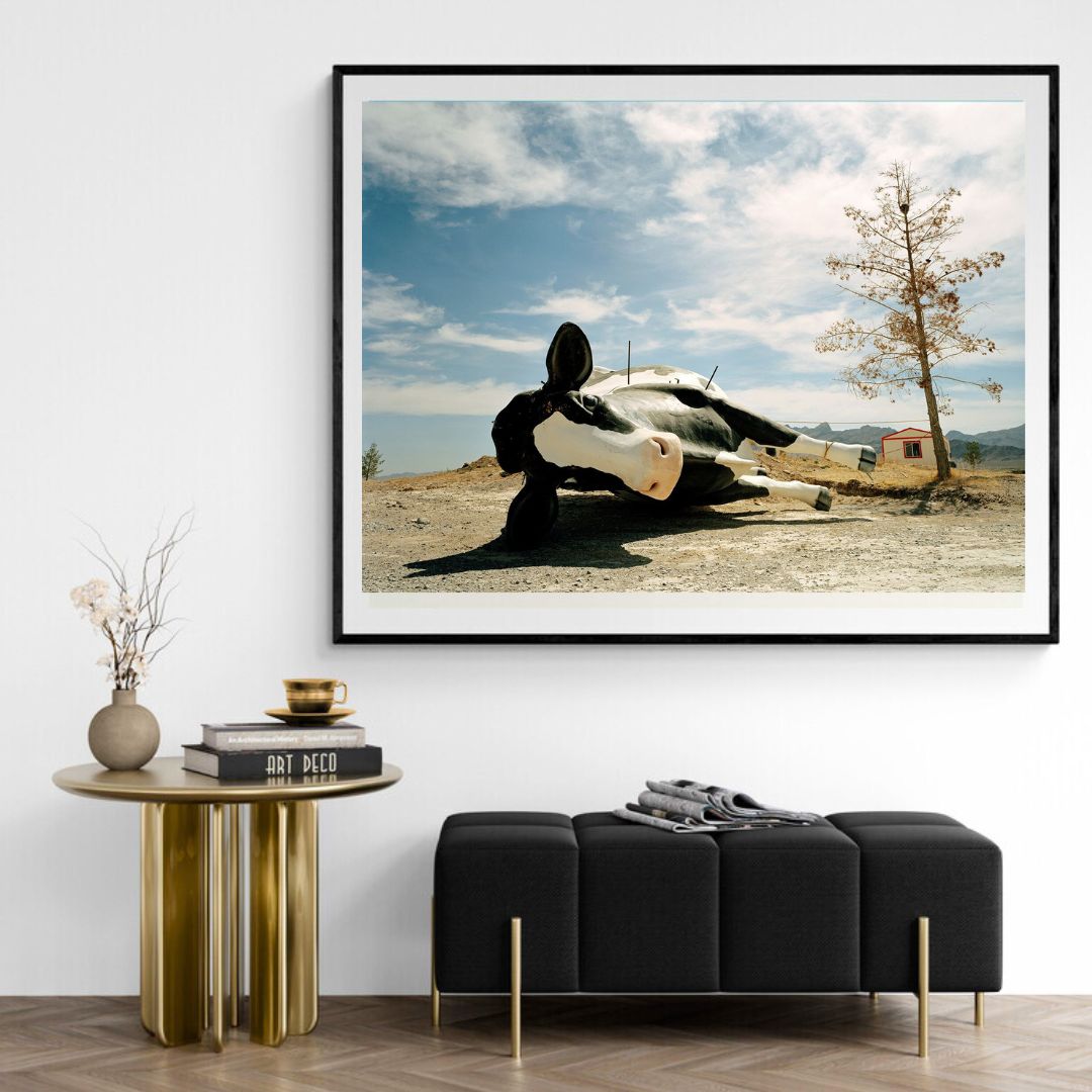 JIMMY & DENA KATZ: Cow by the side of the road (fine art print)