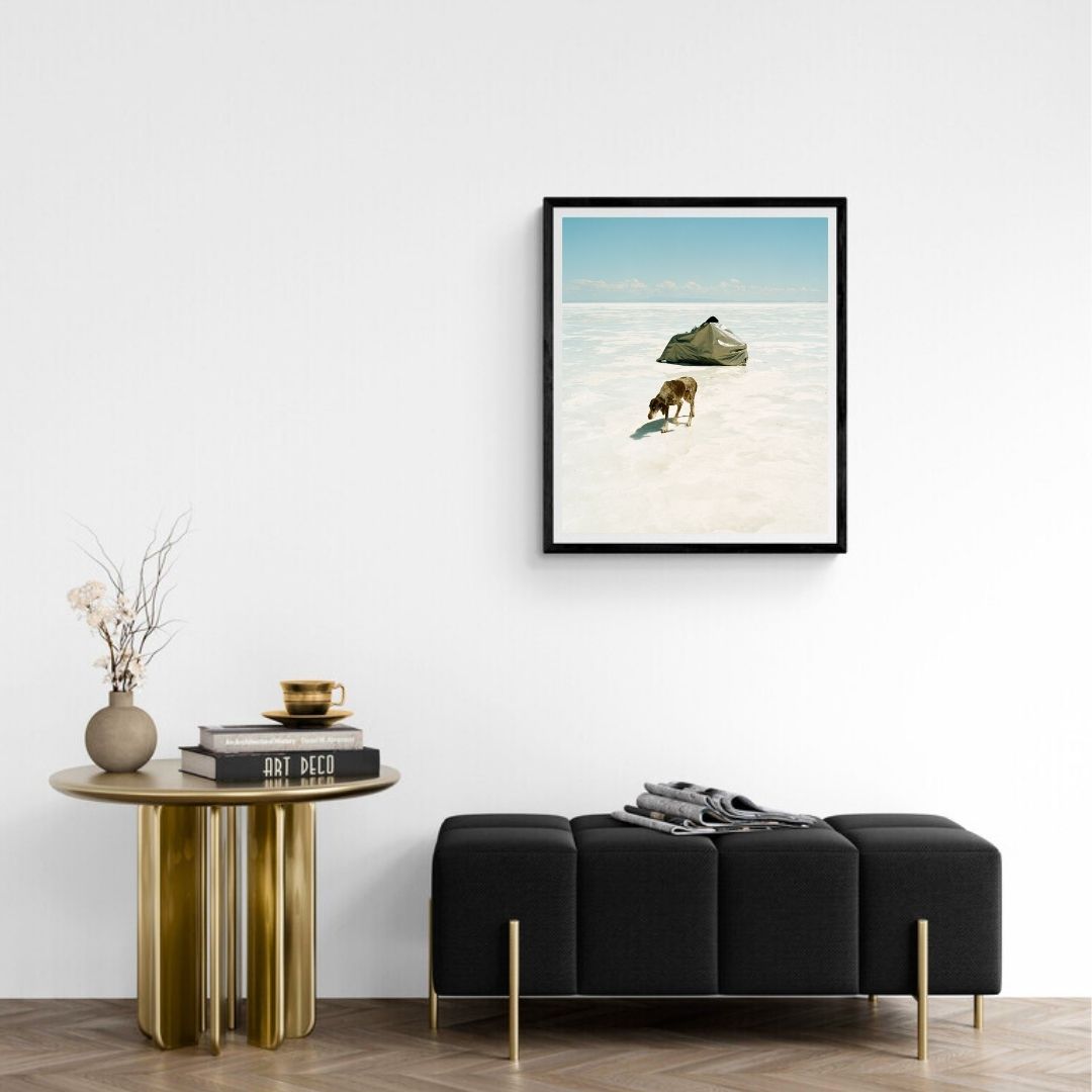 JIMMY & DENA KATZ: Dog on Salt (fine art print)