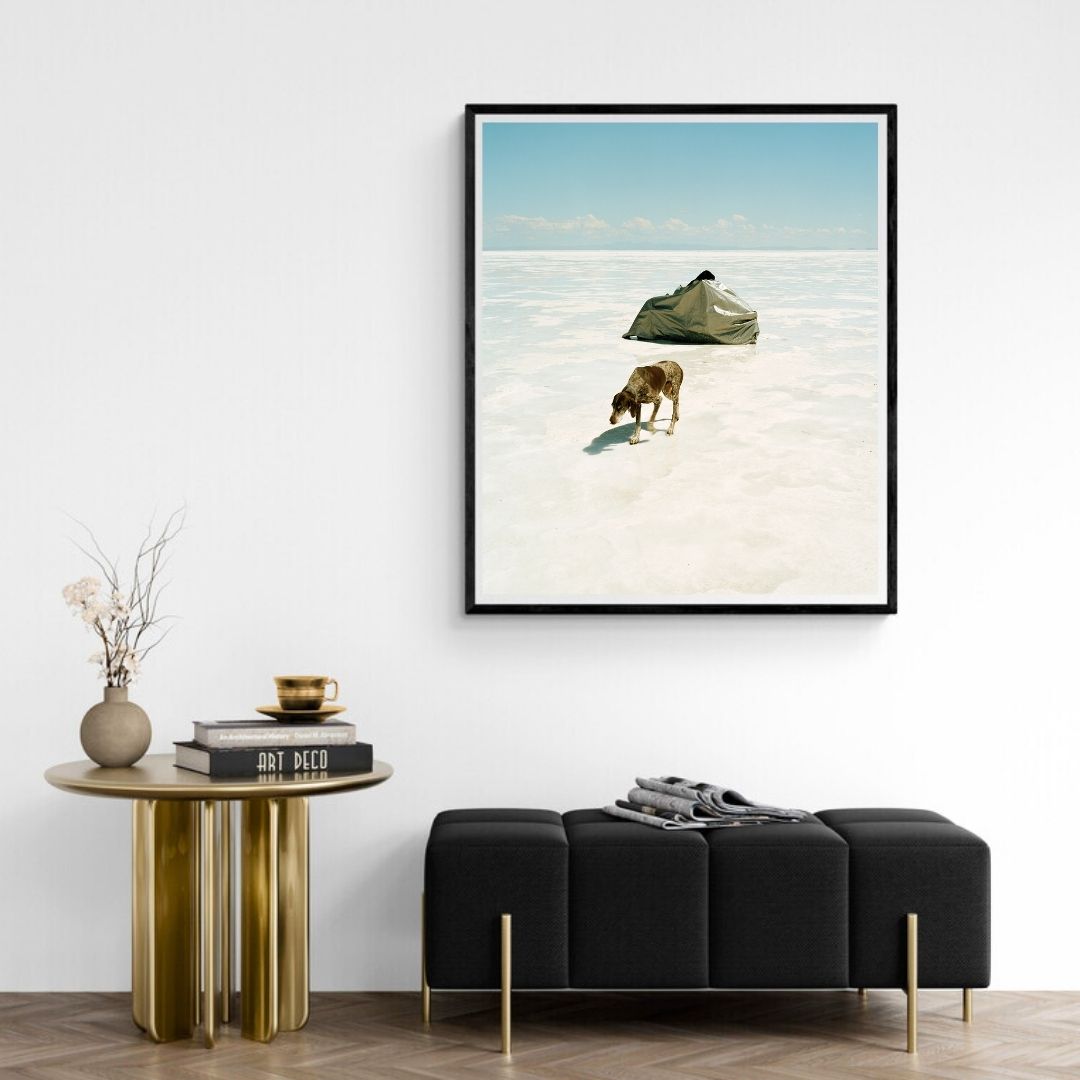 JIMMY & DENA KATZ: Dog on Salt (fine art print)