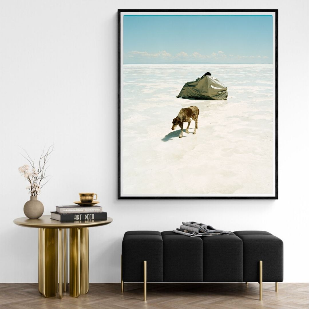 JIMMY & DENA KATZ: Dog on Salt (fine art print)