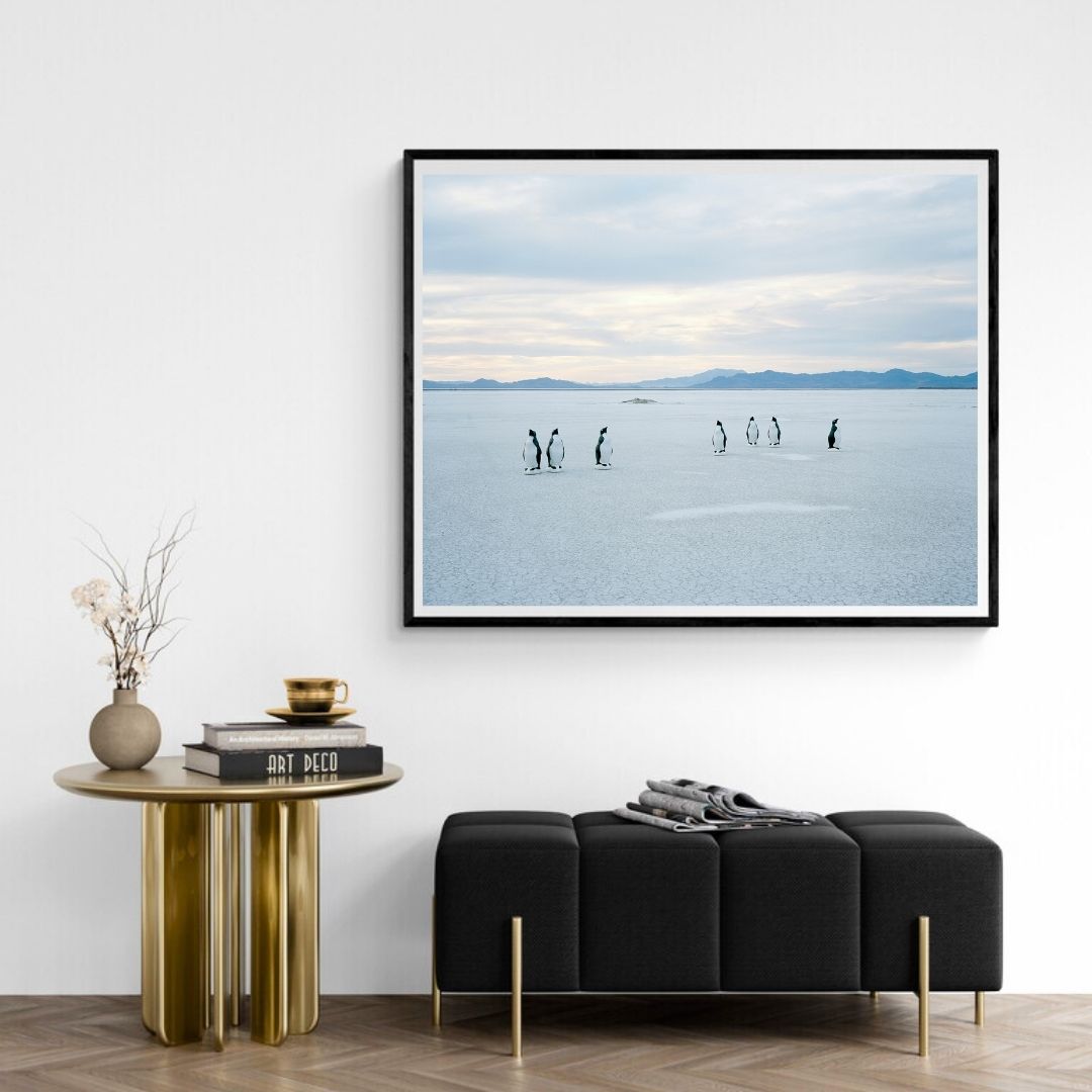 JIMMY & DENA KATZ: Penguins on Salt (fine art print)