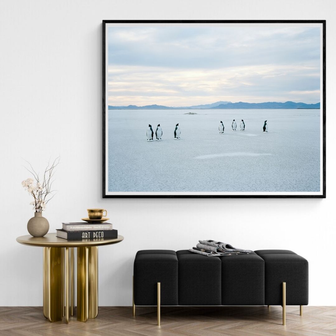 JIMMY & DENA KATZ: Penguins on Salt (fine art print)