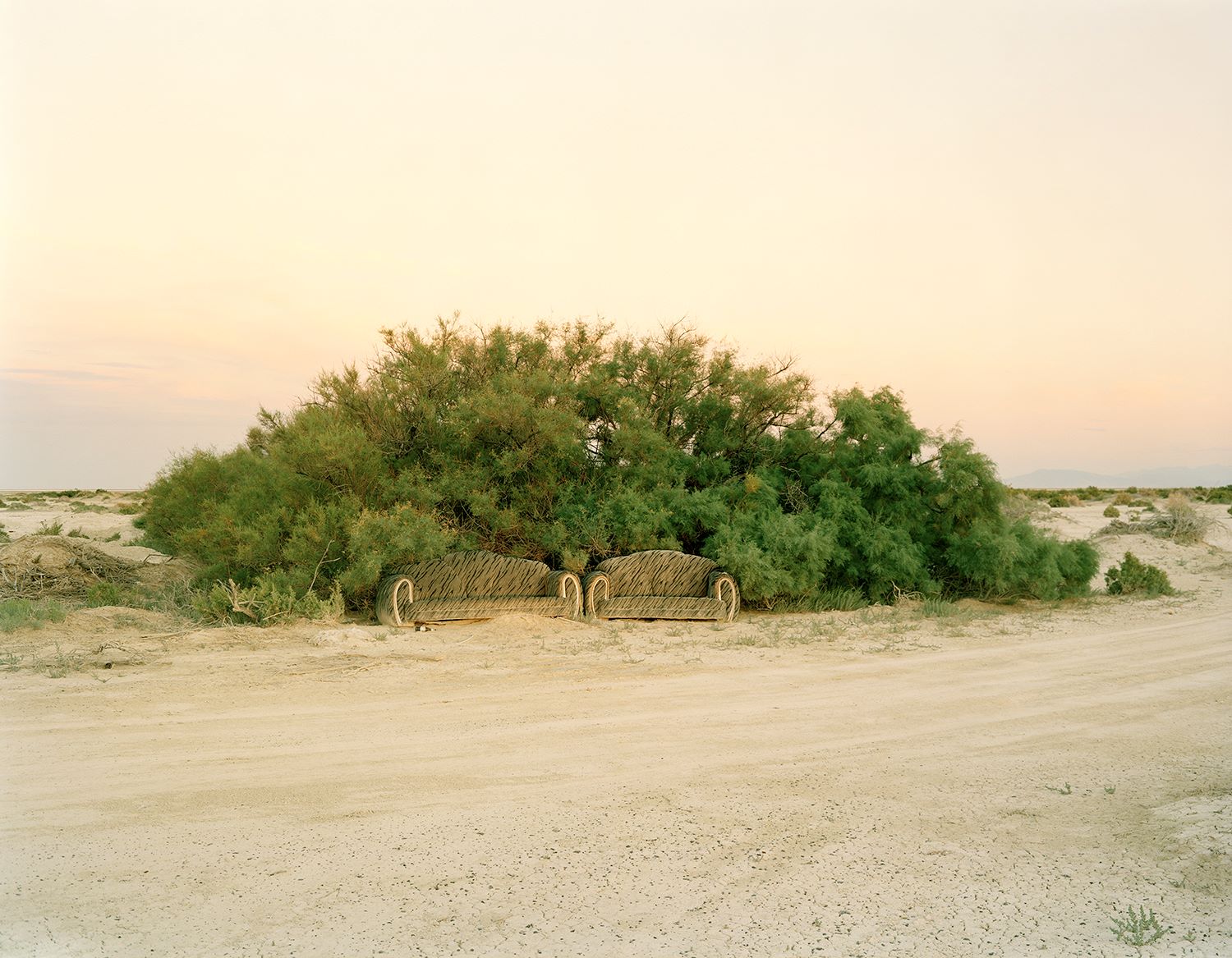 JIMMY & DENA KATZ: Two Couches (fine art print)