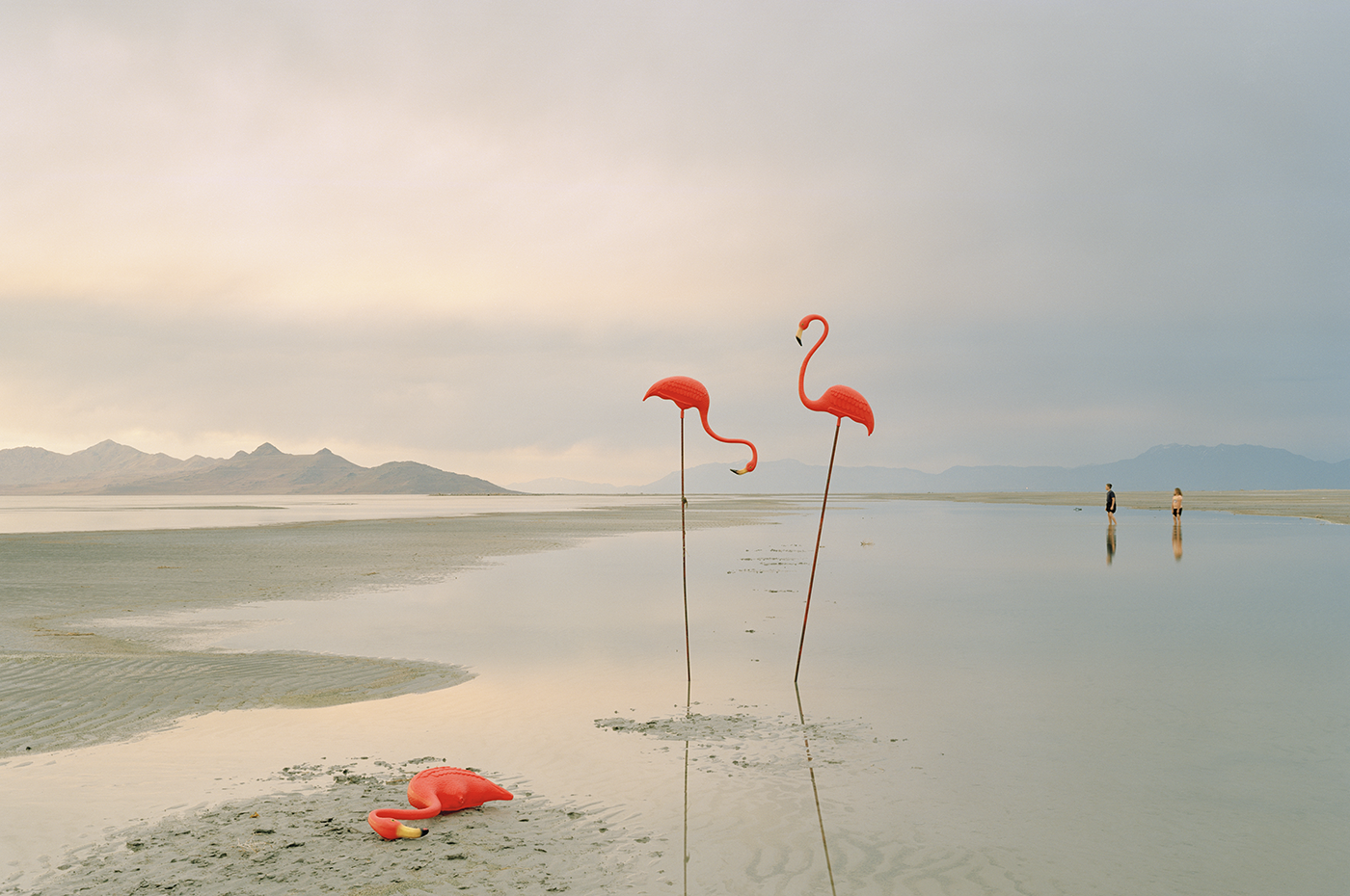 Three plastic pink flamingoes stand in a salt lake with mountains in the background