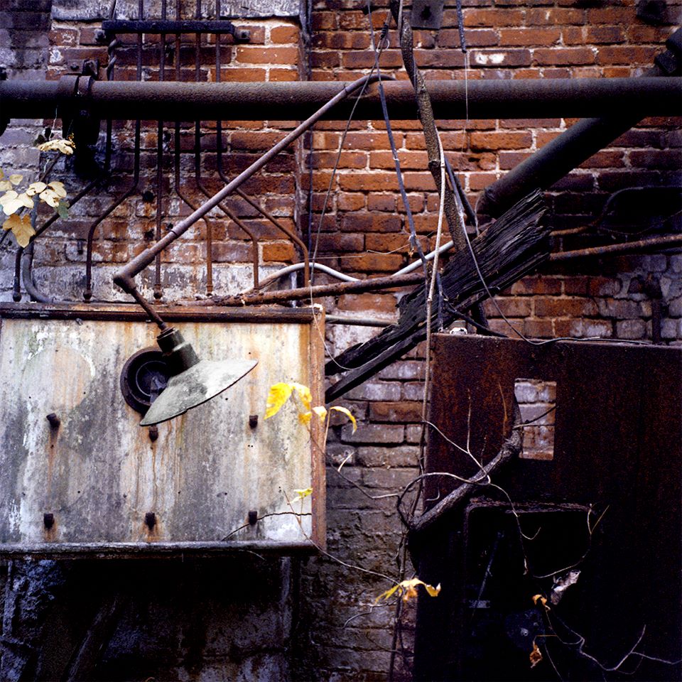 KIRITIN BEYER: Unhinged (limited edition print)