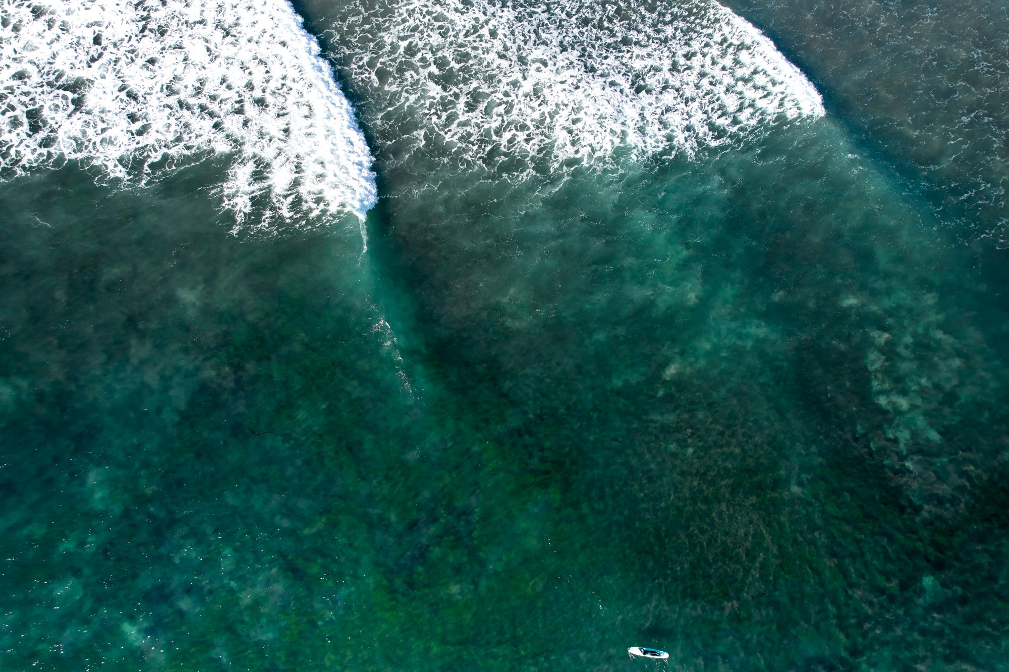 KOUROSH SOTOODEH: Surf X (limited edition print)
