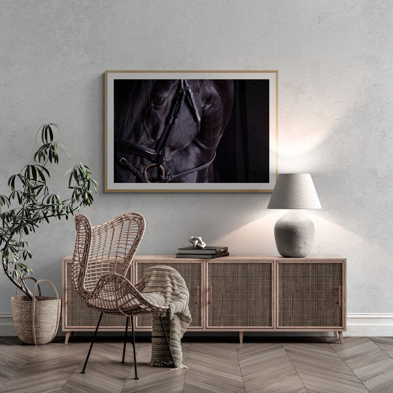 LORI ADAMSKI-PEEK: Black Horse I (limited edition print)