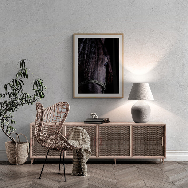LORI ADAMSKI-PEEK: Black Horse II (limited edition print)