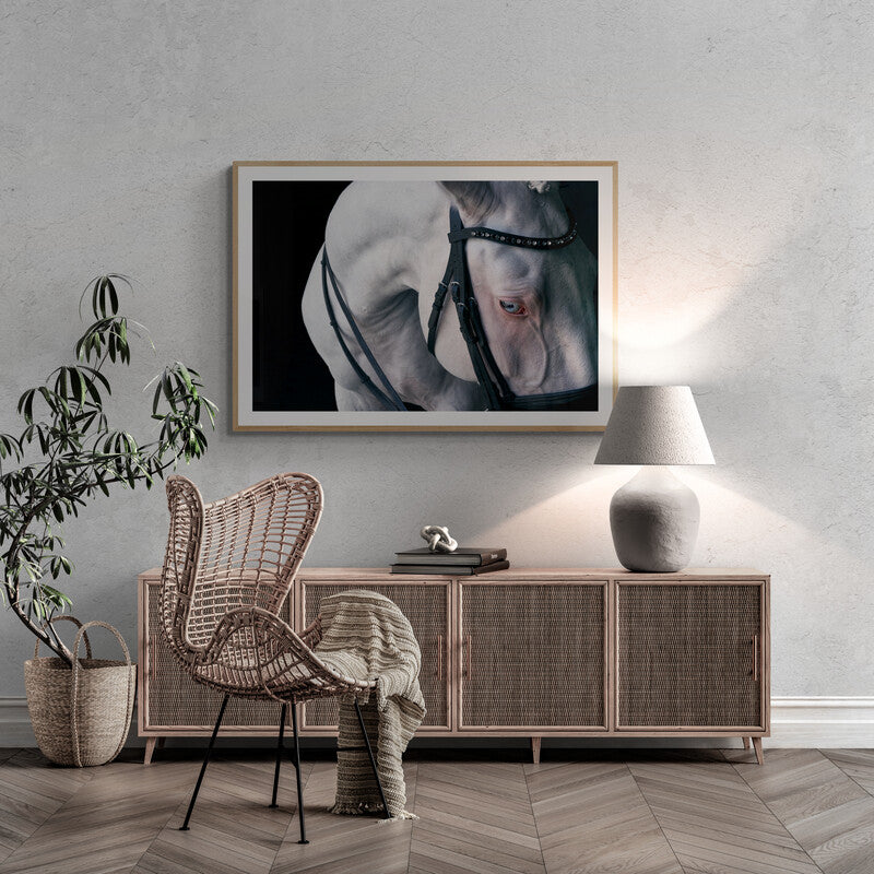 LORI ADAMSKI-PEEK: White Horse I (limited edition print)