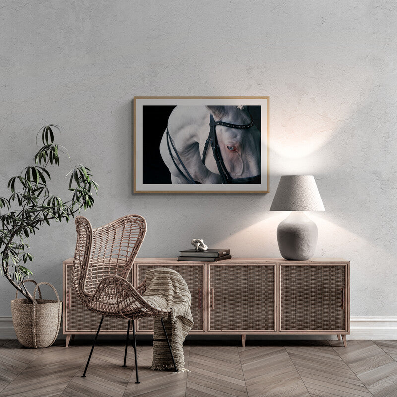 LORI ADAMSKI-PEEK: White Horse I (limited edition print)