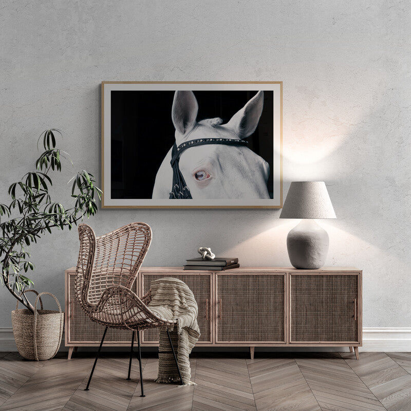 LORI ADAMSKI-PEEK: White Horse III (limited edition print)