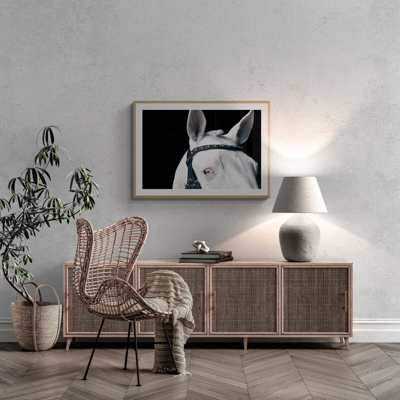 LORI ADAMSKI-PEEK: White Horse III (limited edition print)