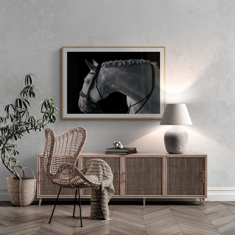 LORI ADAMSKI-PEEK: White Horse V (limited edition print)