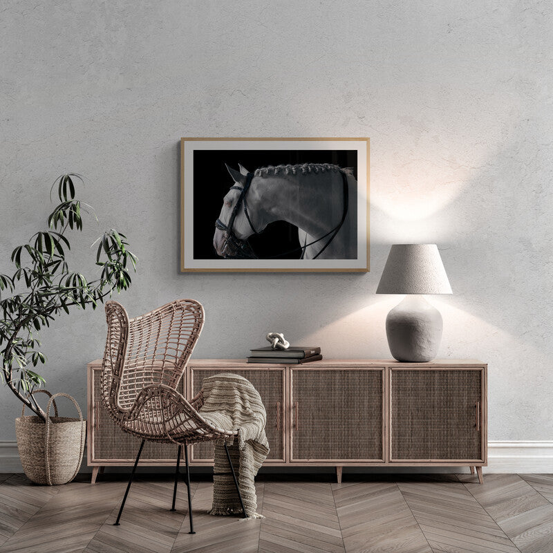 LORI ADAMSKI-PEEK: White Horse V (limited edition print)