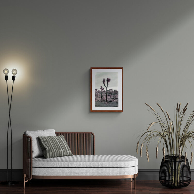 STEVEN LOPEZ: Joshua Tree (fine art print)