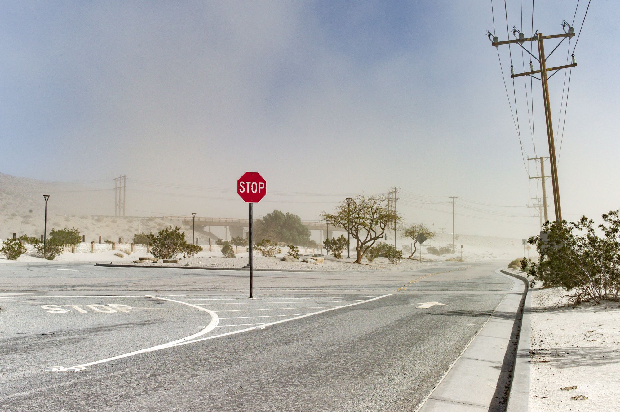 TONY HARMER: On The Road IV (limited edition print)
