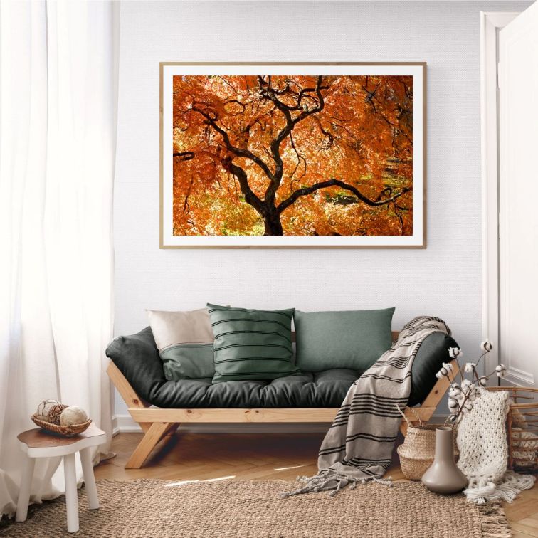 ANDRE BARANOWSKI: Garden Wild X (limited edition print) - Aurelie's Gallery