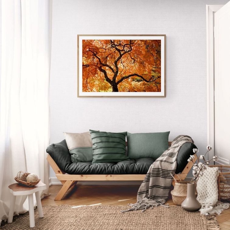 ANDRE BARANOWSKI: Garden Wild X (limited edition print) - Aurelie's Gallery