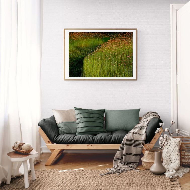 ANDRE BARANOWSKI: Garden Wild XI (limited edition print) - Aurelie's Gallery