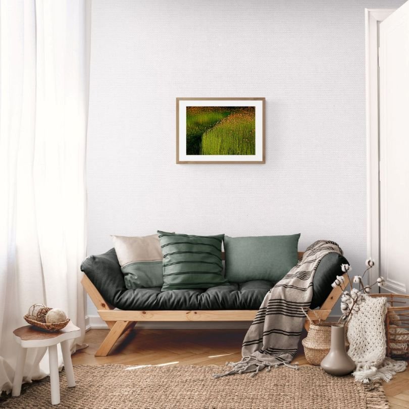 ANDRE BARANOWSKI: Garden Wild XI (limited edition print) - Aurelie's Gallery