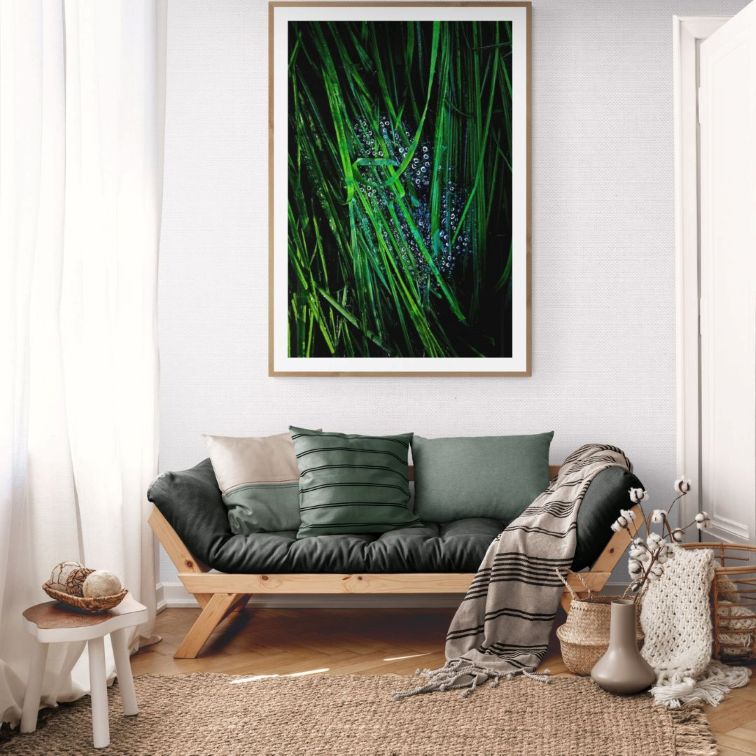 ANDRE BARANOWSKI: Garden Wild XII (limited edition print) - Aurelie's Gallery