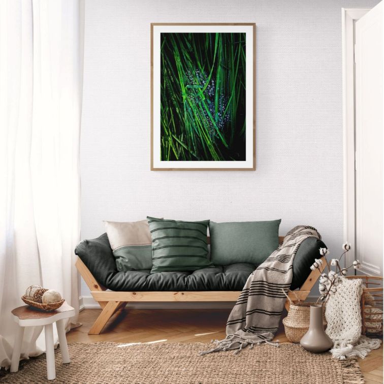 ANDRE BARANOWSKI: Garden Wild XII (limited edition print) - Aurelie's Gallery