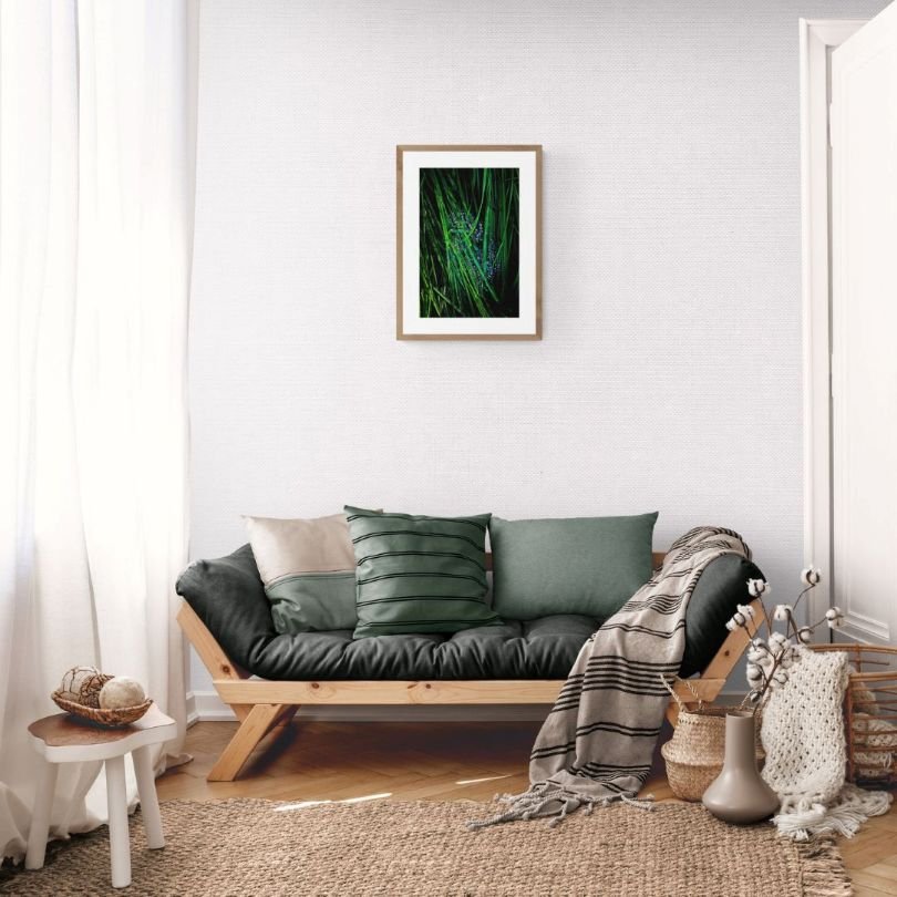 ANDRE BARANOWSKI: Garden Wild XII (limited edition print) - Aurelie's Gallery