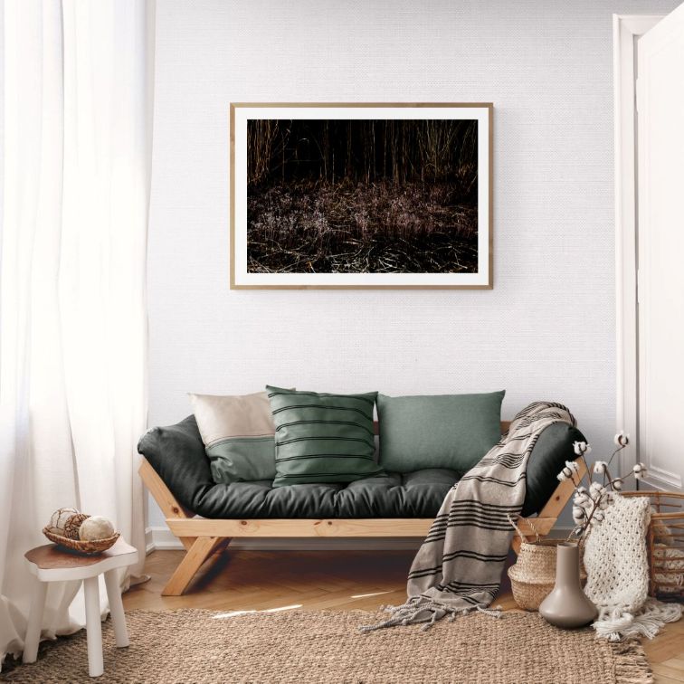 ANDRE BARANOWSKI: Garden Wild XIV (limited edition print) - Aurelie's Gallery