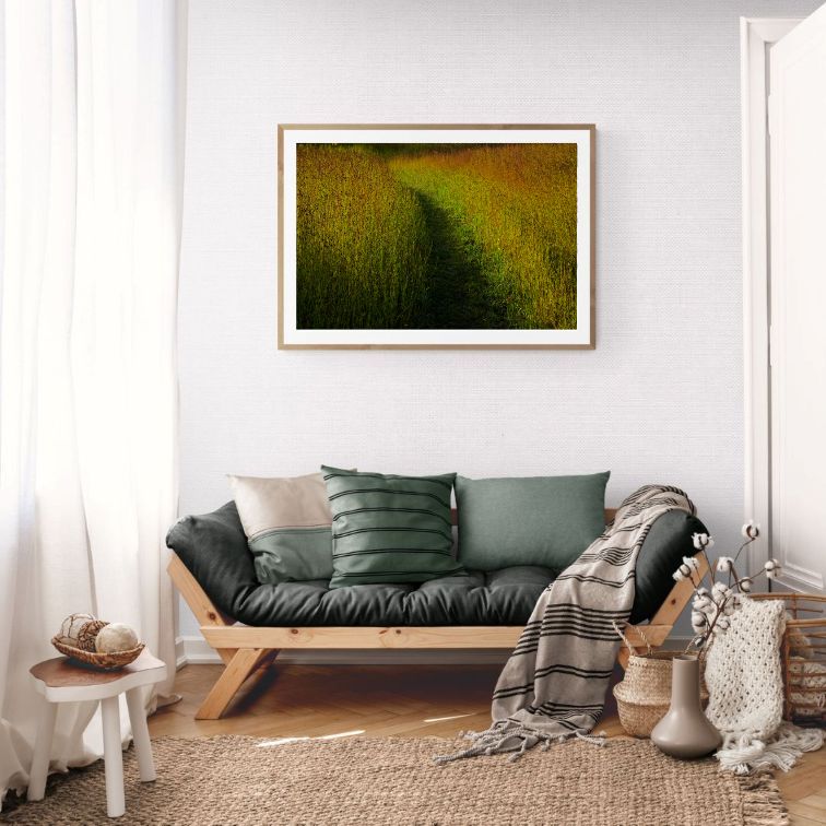 ANDRE BARANOWSKI: Garden Wild XIX (limited edition print) - Aurelie's Gallery