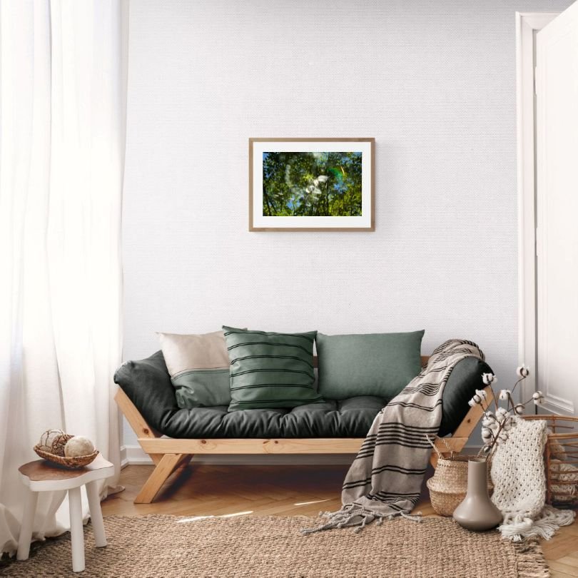 ANDRE BARANOWSKI: Garden Wild XXII (limited edition print) - Aurelie's Gallery