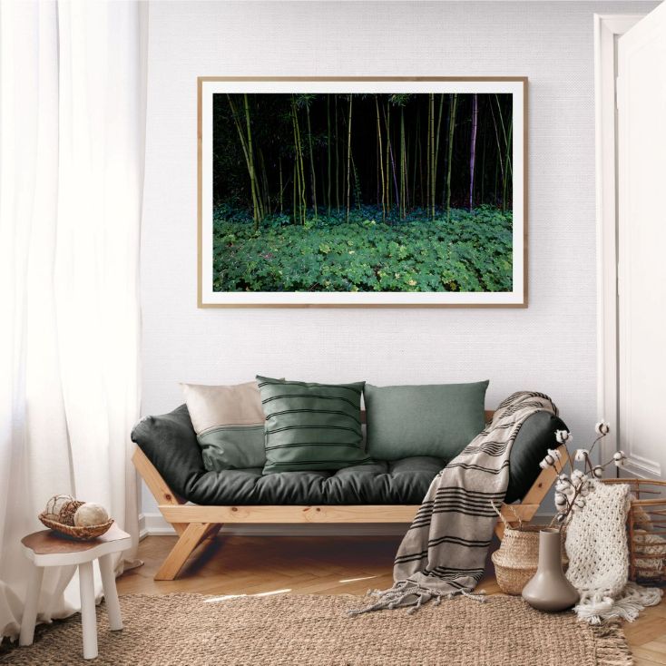 ANDRE BARANOWSKI: Garden Wild XXIII (limited edition print) - Aurelie's Gallery