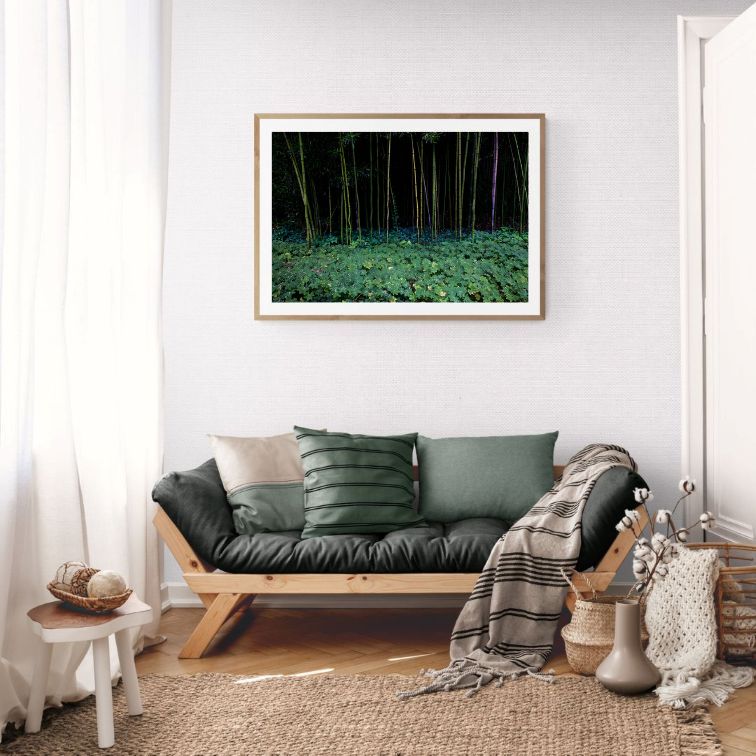 ANDRE BARANOWSKI: Garden Wild XXIII (limited edition print) - Aurelie's Gallery