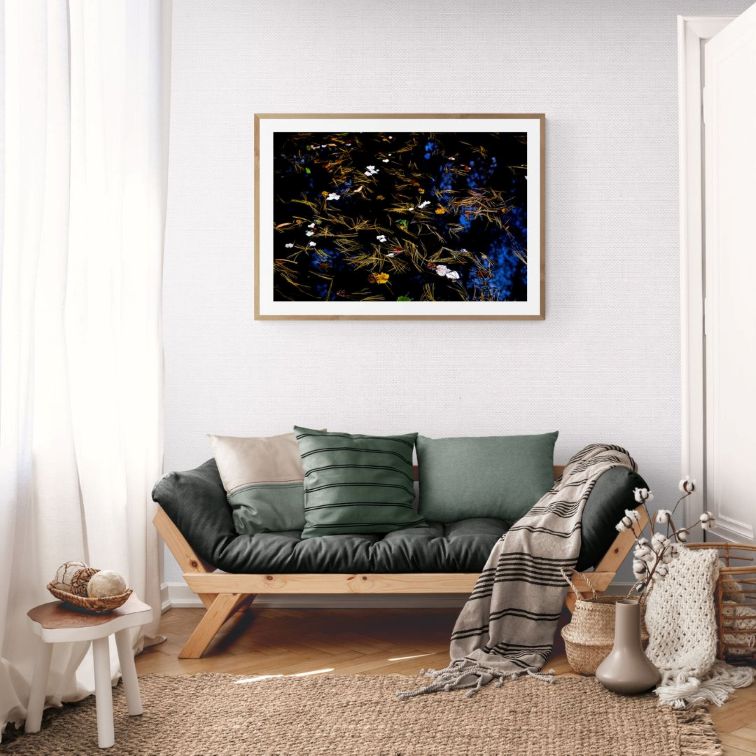 ANDRE BARANOWSKI: Garden Wild V (limited edition print) - Aurelie's Gallery