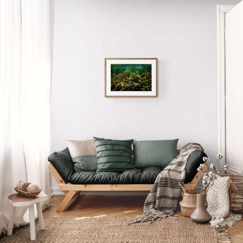 ANDRE BARANOWSKI: Garden Wild VI (limited edition print) - Aurelie's Gallery