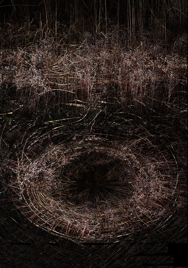 ANDRE BARANOWSKI: Garden Wild XVIII (limited edition print) - Aurelie's Gallery